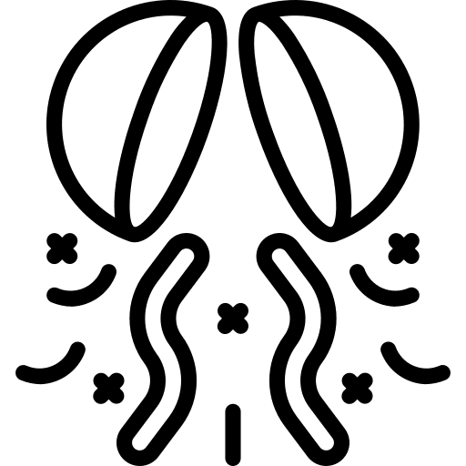 Poppers poppers surprise confetti icon