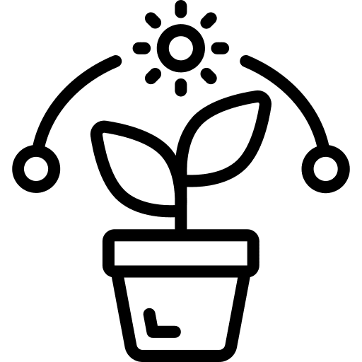 Plant position plant sapling icon
