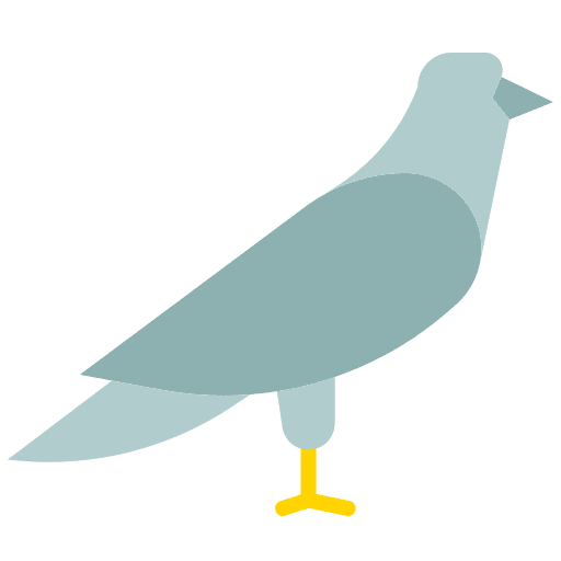 Pigeon dove pigeon wings icon Pigeon dove pigeon wings icon