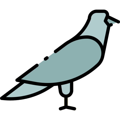 Pigeon animals dove animal icon Pigeon animals dove animal icon