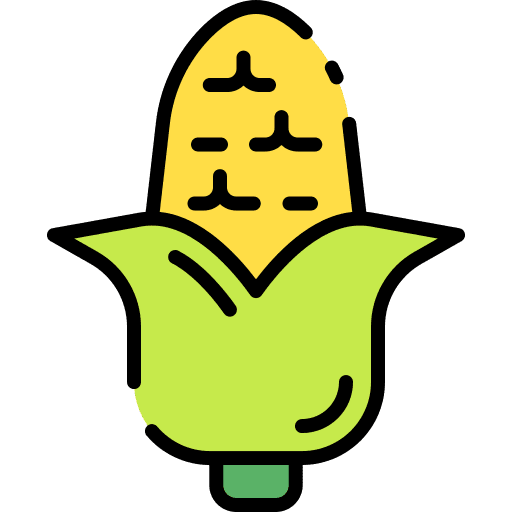 Corn vegetable corn food icon Corn vegetable corn food icon