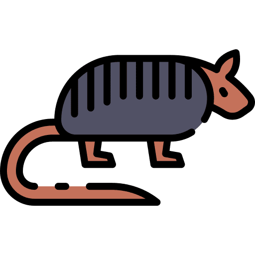 Armadillo animal kingdom armadillo animals icon Armadillo animal kingdom armadillo animals icon