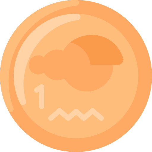 Coin cash oceania money icon Coin cash oceania money icon
