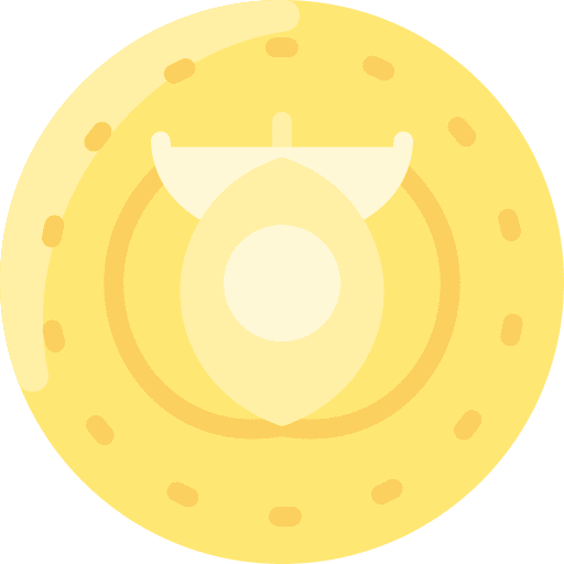 Coin oceania currency old icon Coin oceania currency old icon