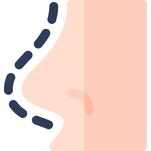 Rhinoplasty anatomy operation plastic surgery icon Rhinoplasty anatomy operation plastic surgery icon