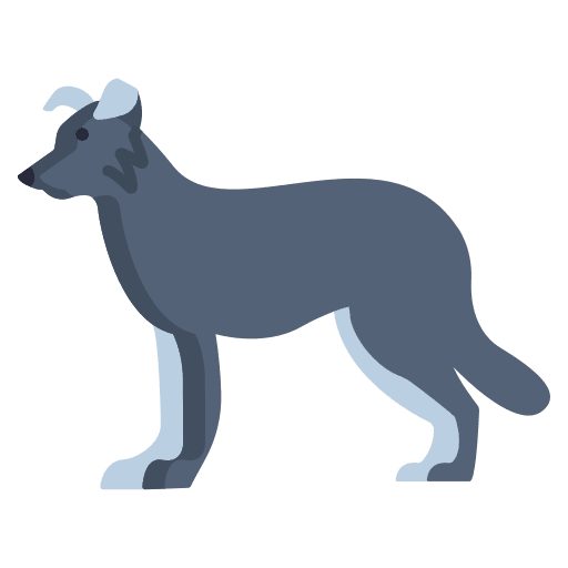 Border collie mammal dog zoology icon