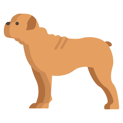 Bulldog bulldog pet dog icon