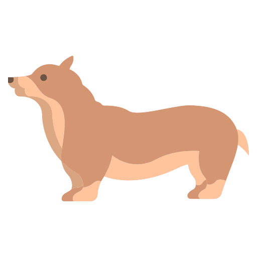 Corgi animals dog corgi icon