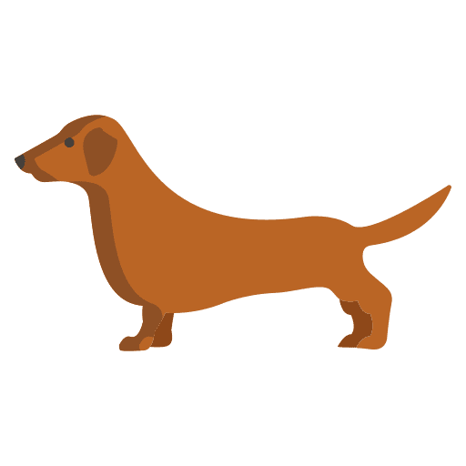 Dachshund dachshund breed zoology icon