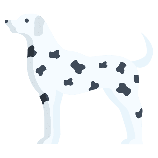 Dalmation dog animals mammal icon