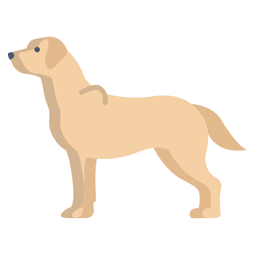 Labrador retriever mammal pet dog icon
