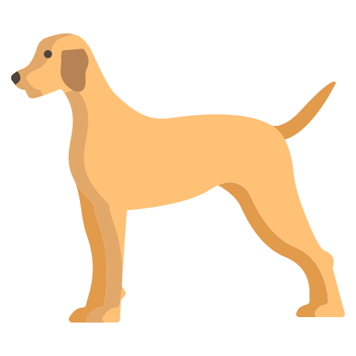Pointer breed zoology mammal icon Pointer breed zoology mammal icon