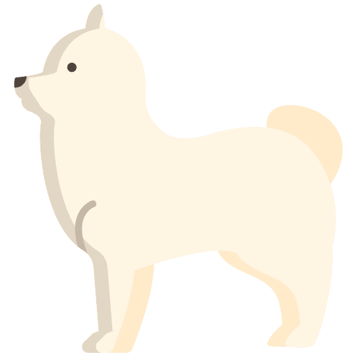 Pomeranian dog pet pomeranian icon