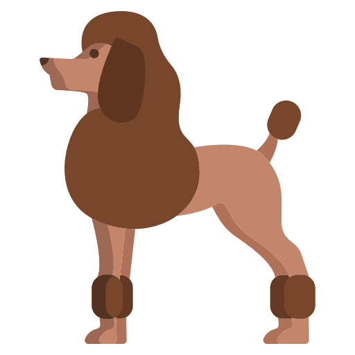 Poodle poodle breed zoology icon