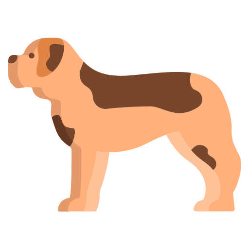 Saint bernard mammal animals breed icon Saint bernard mammal animals breed icon