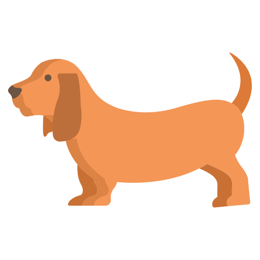 Basset hound basset hound zoology breed icon Basset hound basset hound zoology breed icon