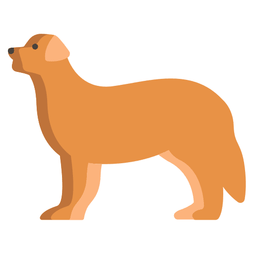 Bernese mountain bernese mountain animals dog icon Bernese mountain bernese mountain animals dog icon