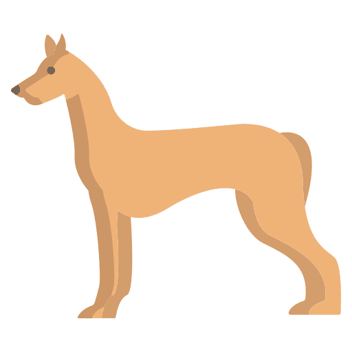 Pharaoh hound dog zoology animals icon Pharaoh hound dog zoology animals icon