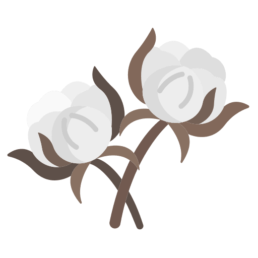 Cotton agriculture plant botanical icon Cotton agriculture plant botanical icon