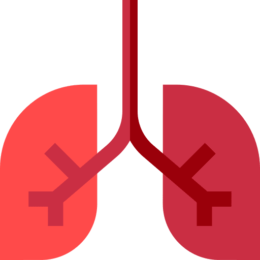 Lungs anatomy body part lungs icon