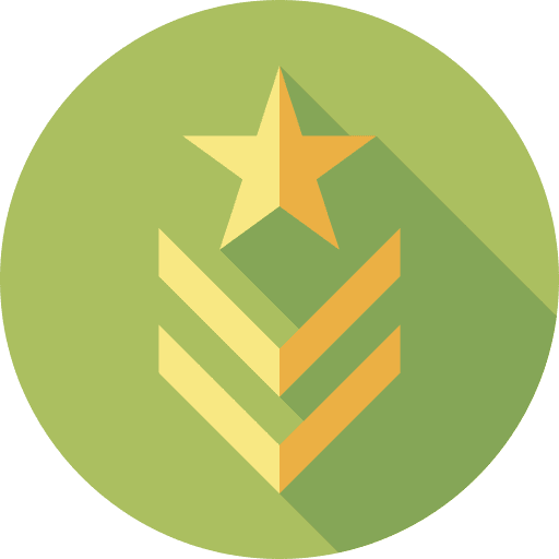 Badge medal security badge icon