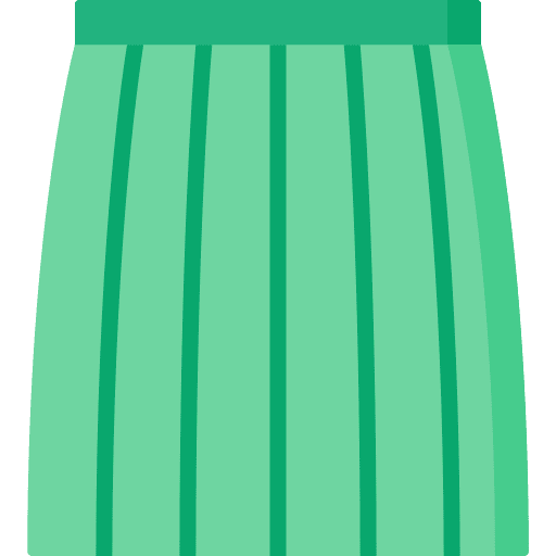 Skirt clothing skirt female icon