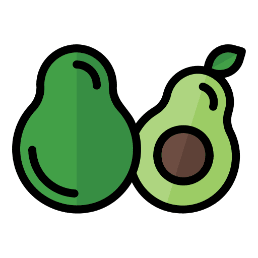 Avocado fruit vegetarian food icon