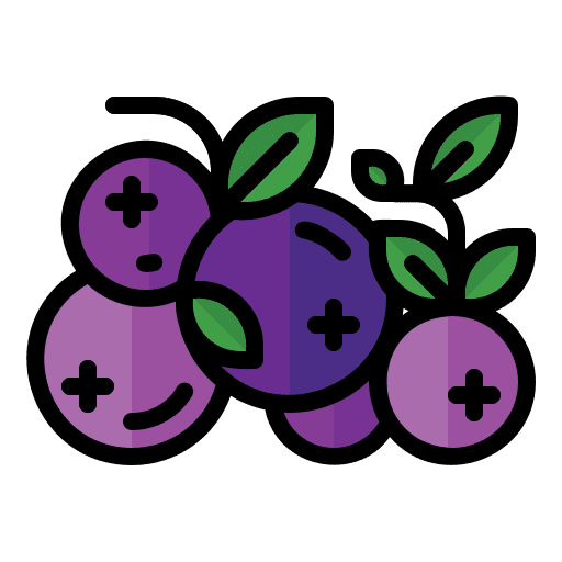 Blueberry vegetarian food and restaurant fruit icon