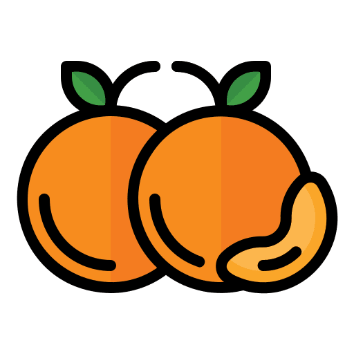 Mandarin fruit vegetarian food icon