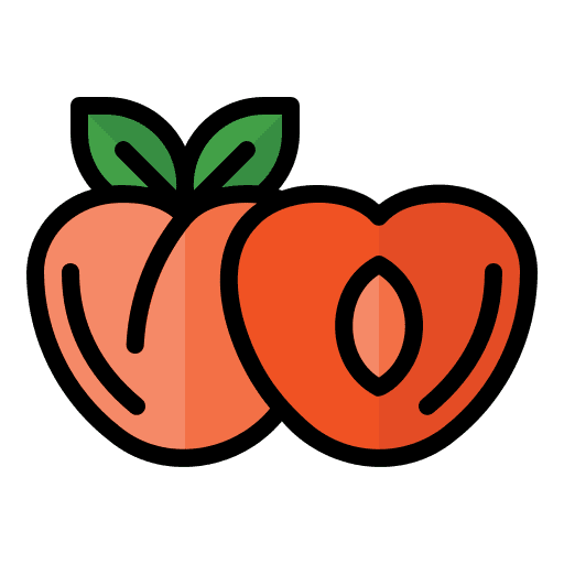 Peach healthy food vegetarian vegan icon