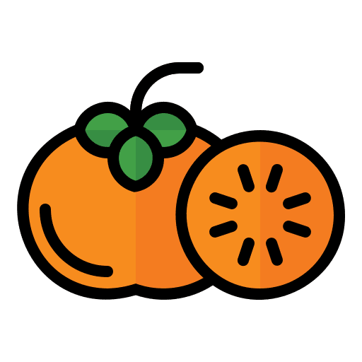 Persimmon organic vegan fruit icon
