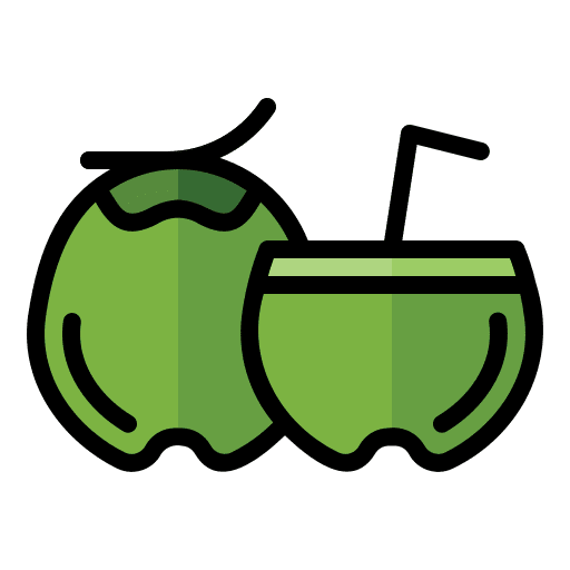 Coconut fruit vegetarian coconut icon Coconut fruit vegetarian coconut icon