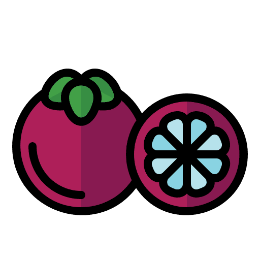 Mangosteen vegetarian diet organic icon Mangosteen vegetarian diet organic icon
