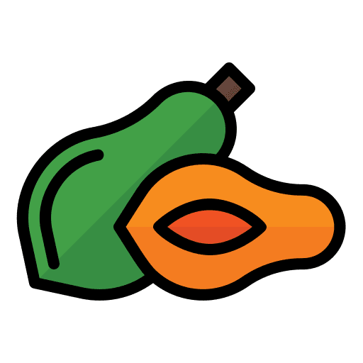 Papaya diet food organic icon Papaya diet food organic icon