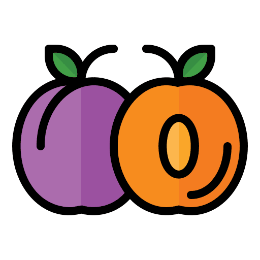 Plum diet plum organic icon Plum diet plum organic icon