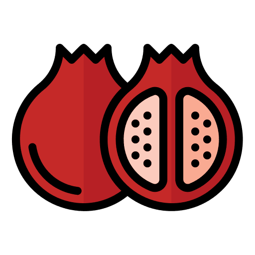 Pomegranate diet fruit vegan icon Pomegranate diet fruit vegan icon