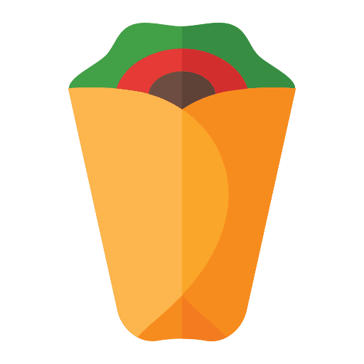 Kebab burrito meat mexican food icon