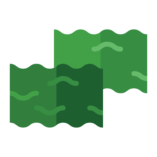 Nori oriental japanese food seaweed icon