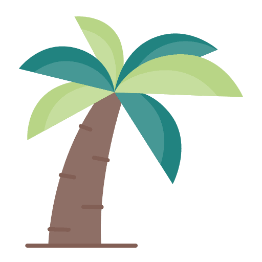 Palm tree nature plant coconut tree icon Palm tree nature plant coconut tree icon