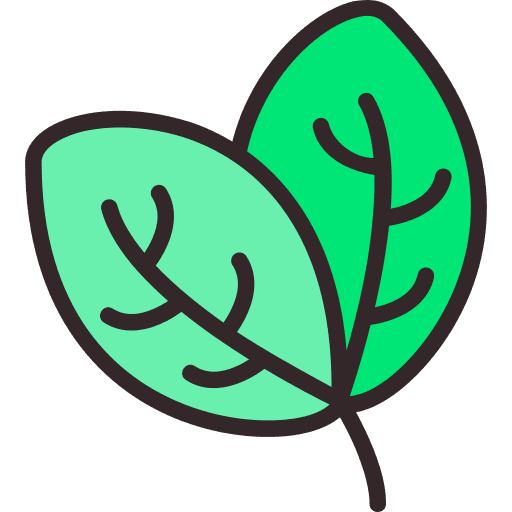 Leaf botanical plant leaf icon