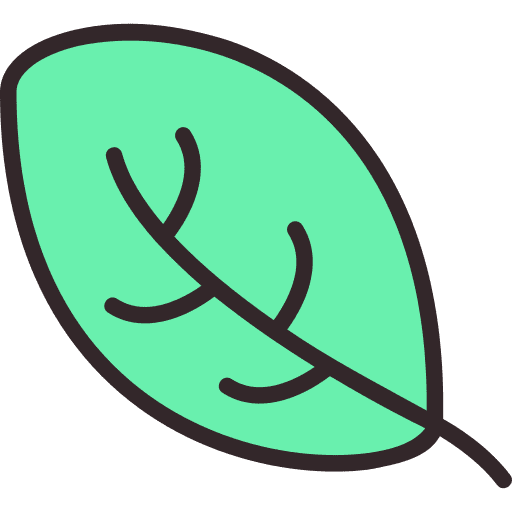 Leaf leaf environment leaves icon