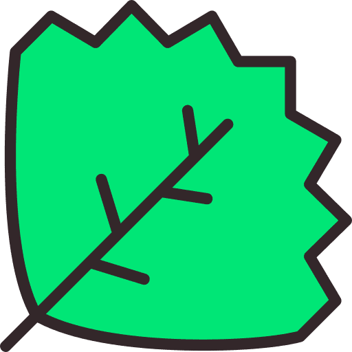 Leaf natural nature botanical icon