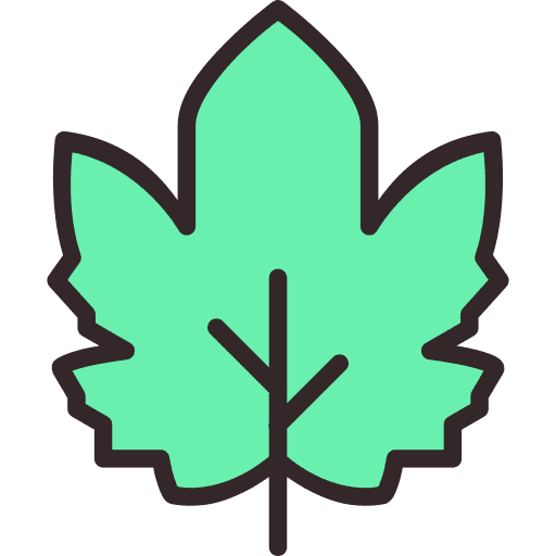 Leaf nature leaves leaf icon