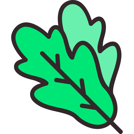 Leaf plant botanical leaves icon