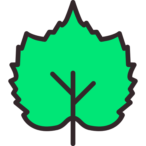 Leaf plant leaf environment icon