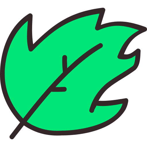 Leaf plant leaf environment icon