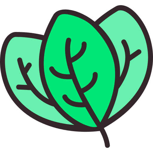 Tree leaf natural plant tree leaf icon