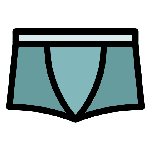 Underpants clothes underwear underpants icon
