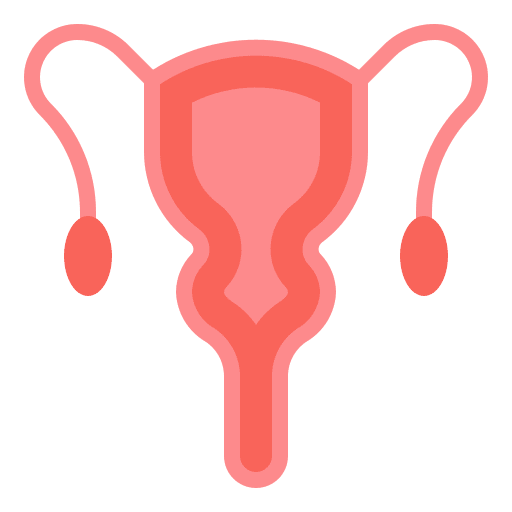 Uterus gynecology healthcare and medical uterus icon