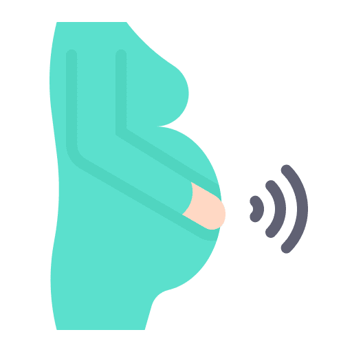 Pregnant maternity pregnant woman icon